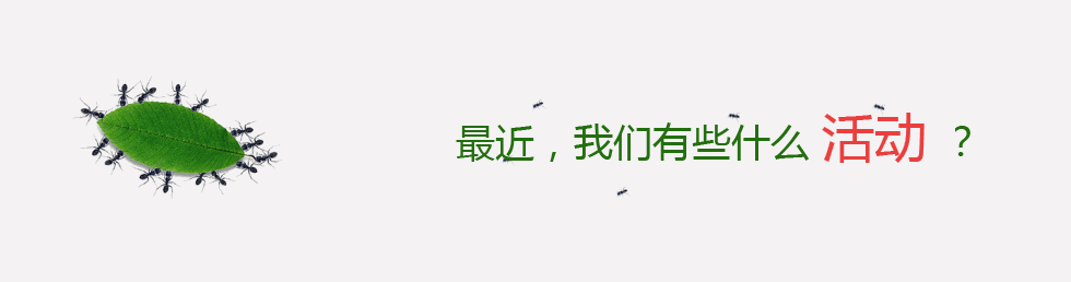 宝马在线游戏1211的服务支持